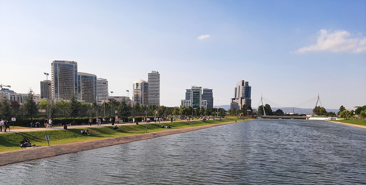 Nilüfer Kombi Servisi